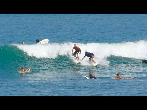 How To Deal With A Drop-In At Canggu?