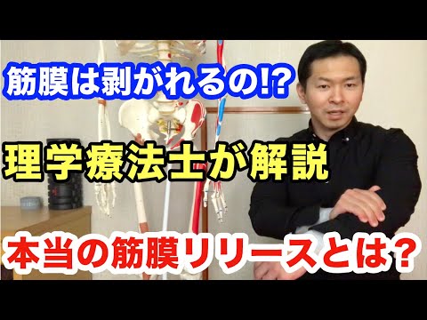 筋膜療法について詳しく解説