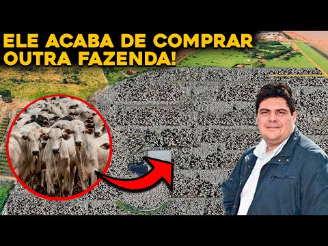 THE NEW CATTLE KING HAS AN EMPIRE OF FARMS AND 150 THOUSAND CATTLE!