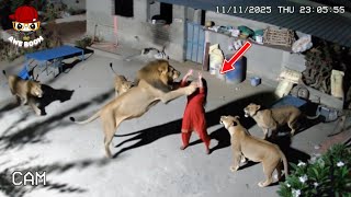 40 Most BRUTAL ANIMAL ATTACKS Caught on Camera