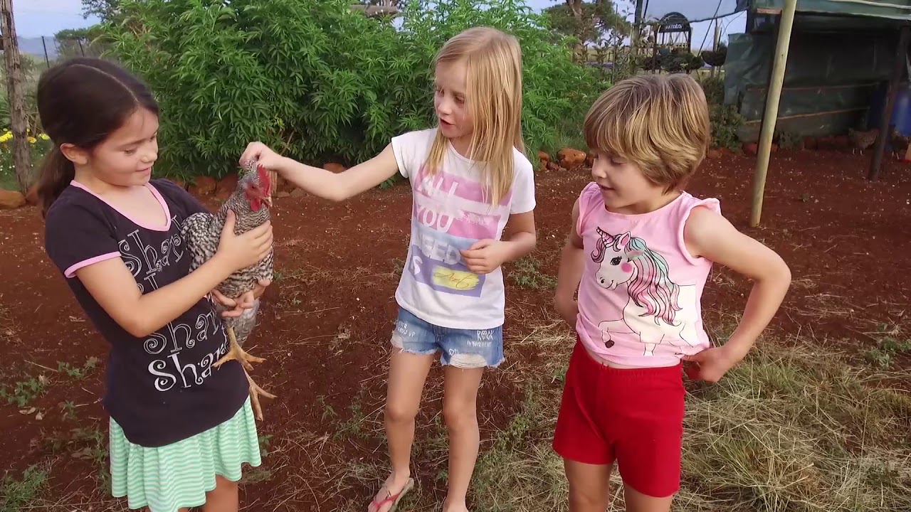 Family Fun Adventure Holiday at Three Tree Hill