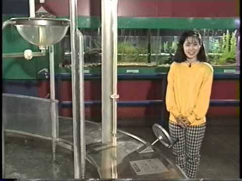 1993年12月1日