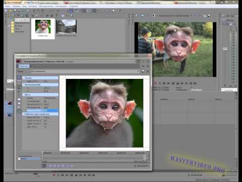 Sony Vegas 18. Замена лица в видео. (Troll Face)