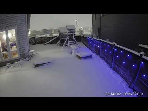 March 2021 - Denver Snowstorm Time Lapse Yard View