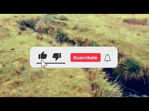 Cesar Cetino - Coros de Adoración