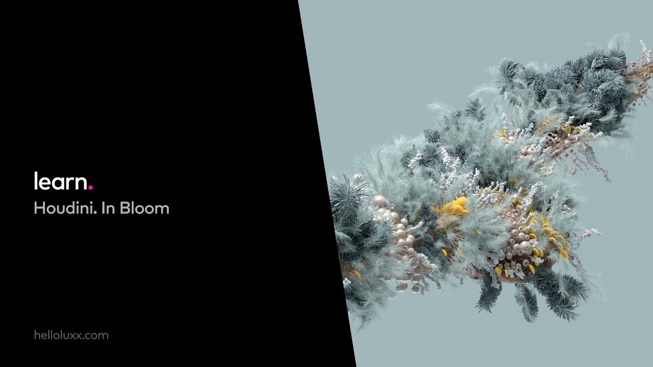 learn. Houdini. In Bloom - Training from Rich Nosworthy