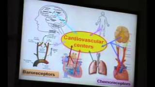 26) Dr.Hani 22/04/2014 [Ch.6: nervous regulation of arterial blood pressure]