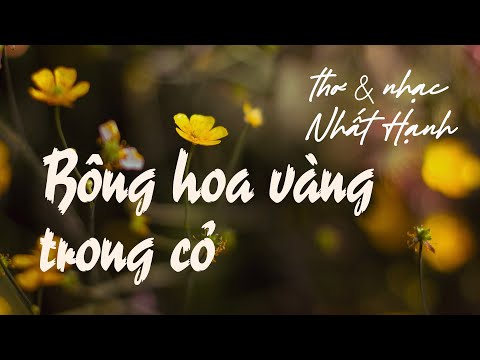 Bông hoa vàng trong cỏ