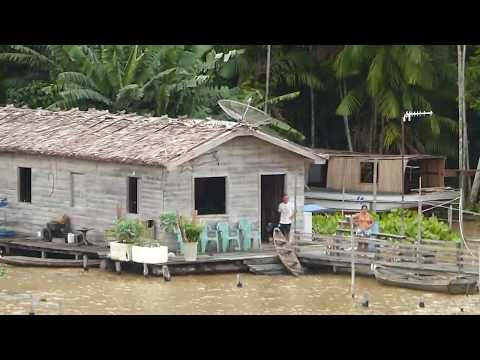 Brasilien Amazonas Delta