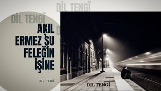 Akıl Ermez Şu Feleğin İşine - Dil Tengî