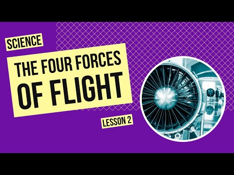 飞行的四种力：升力、重力、推力和阻力
