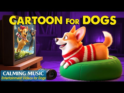 Dog Cartoon with Music (🔴 24/7): Entertainment Videos for Dogs to Watch🐶Best Relaxing Music for Dogs