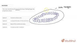 The inner membrane of mitochondria bears folding/finger like projections, these-