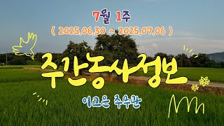 ✨[ 주간농사정보 ] 7월 1째주 (2025. 06. 30. ~ 07. 06)