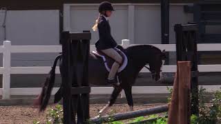 601 - SMALL PONY HUNTER UNDER SADDLE