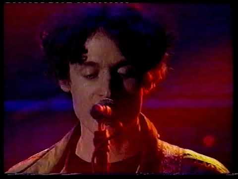 Teenage Fanclub Live at the Astoria 1995 (The Beat)