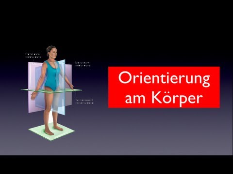 Lechenie.periartrit Hüfte Injektionen in das Hüftgelenk