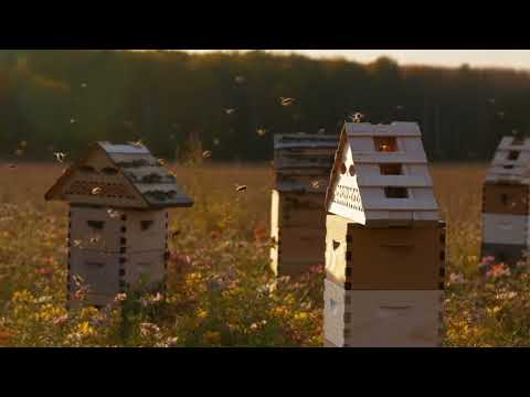 Lustīgais Blumīzers - Mīļa mana Latvija (2025)