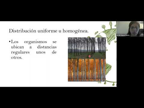 Clase 6. Biología. Parámetro poblacional