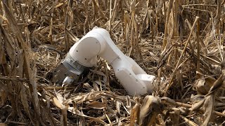 𝙙𝙞𝙨𝗮𝗿𝗺𝗶𝗻𝗴 - Teaser