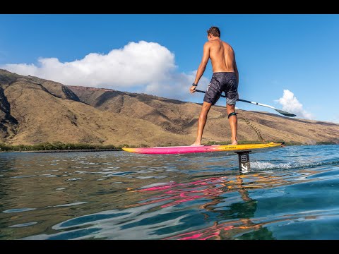 Fanatic Bee 2022 (sous-titres français)