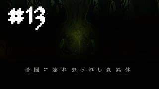 【ローグライク】Dark Devotion #13【ダークファンタジー】