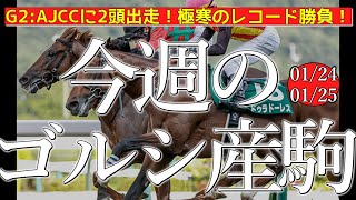 今週のゴールドシップ産駒 (01/24,25)【G2:AJCCに2頭出走！極寒のレコード勝負！／マイネルエンペラー,マイネルメモリーなど】