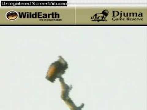 Sunset drive 091707-6