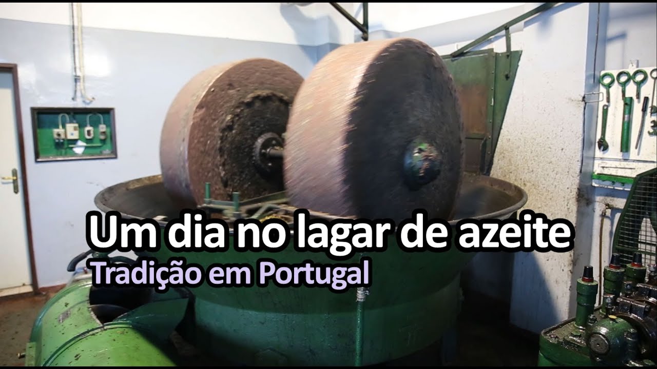 Lagar de Azeite antigo
