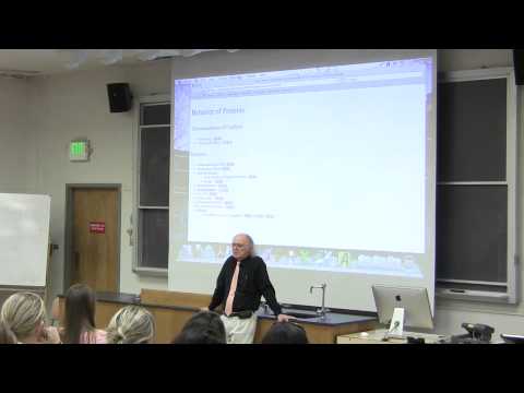 #8 Biochemistry Lecture (Gels/Enzymes) from Kevin Ahern's BB 350