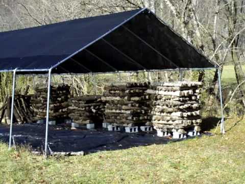 Shitake Mushrooms - Shade House