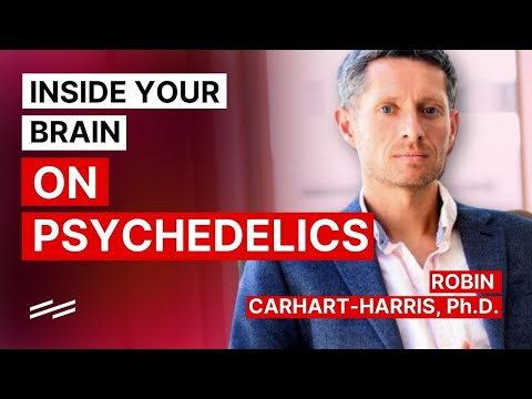 Thumbnail: Robin Carhart-Harris on the fMRI evidence for the entropic-brain hypothesis