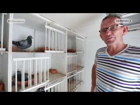 Nat. winnaars ZLU 2017 - Barcelona: Leon Roks (with English subtitles)