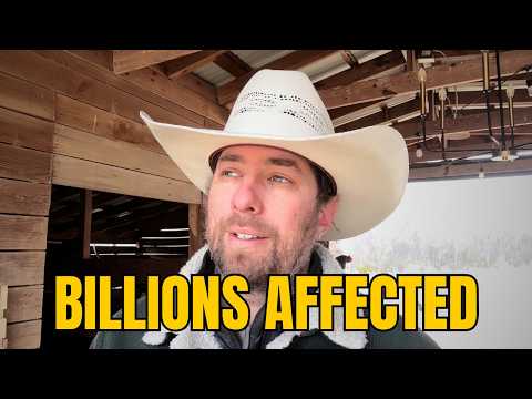 What The Epstein Files Have To Do With You