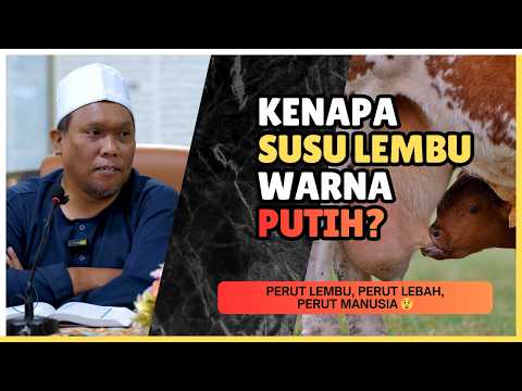 Lebah Ada Berapa Banyak Perut?  | Ustaz Auni Mohamed