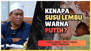 Lebah Ada Berapa Banyak Perut?  | Ustaz Auni Mohamed