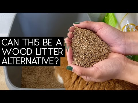 SWHEAT SCOOP LITTER REVIEW | SVEN AND ROBBIE