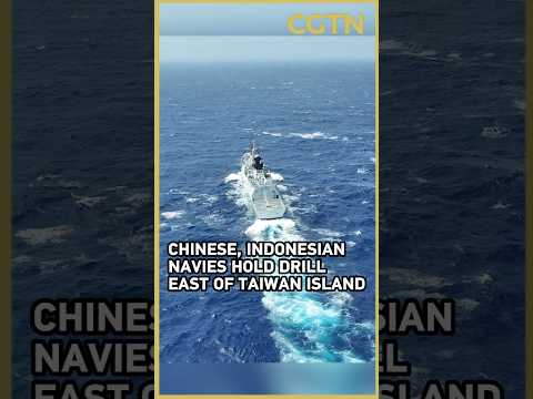 Chinese, Indonesian navies hold drill east of Taiwan Island