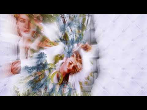 Frisky Travel Sounds #23