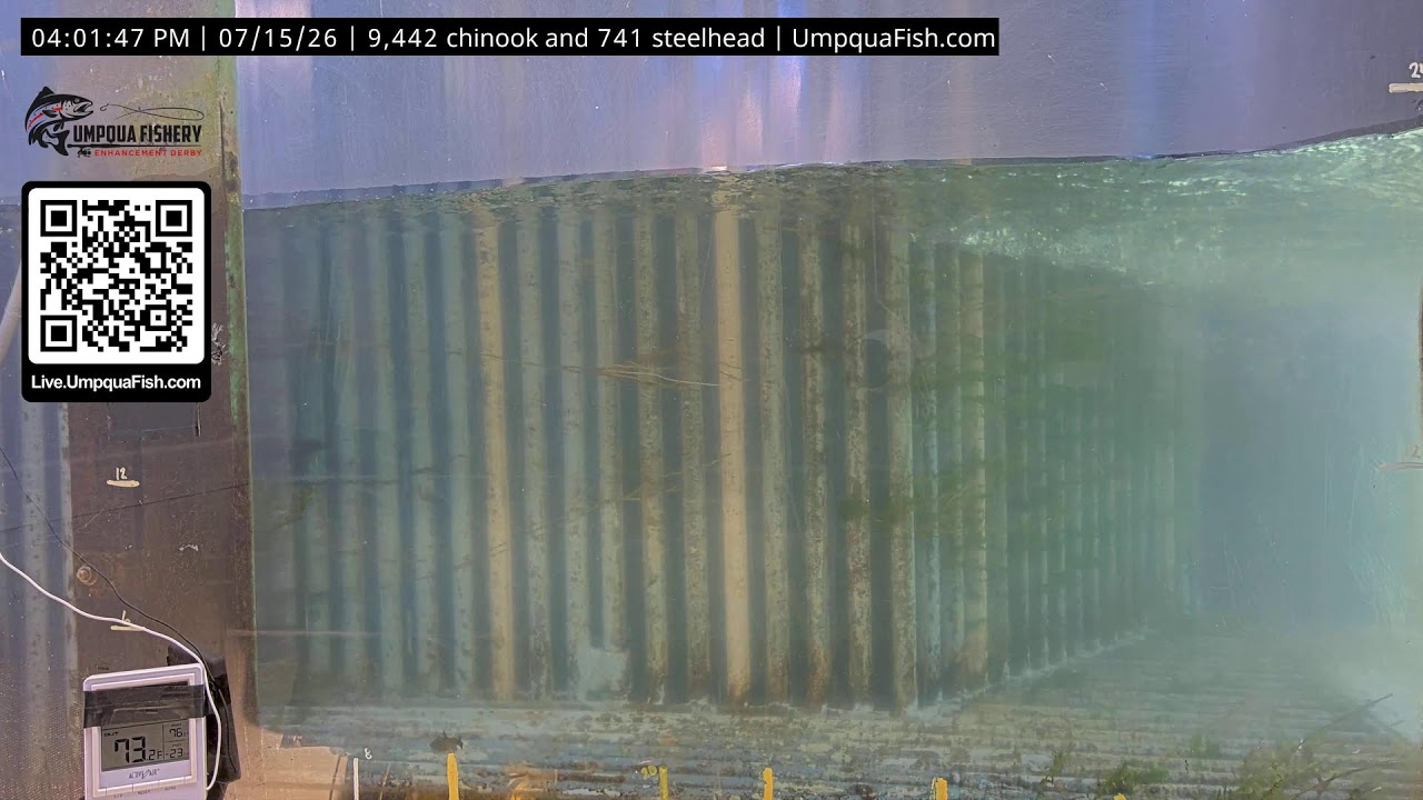 Live webcam view of Winchester Dam Fish Ladder Cam