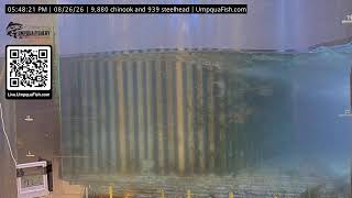 Umpqua Fish - Live Fish Cam