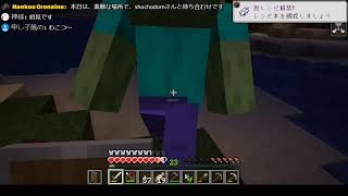 【Minecraft】初めてのマインクラフト #04 【サバイバル】