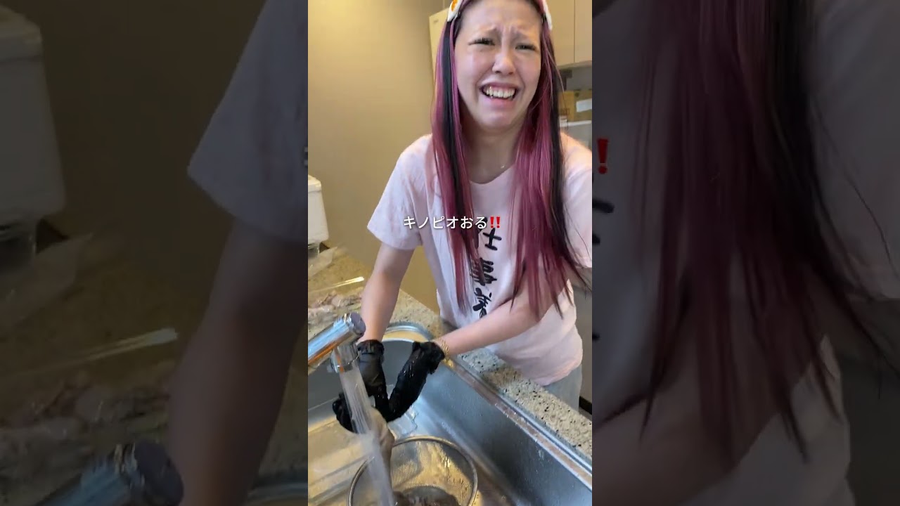 タコと戦う日のVlog