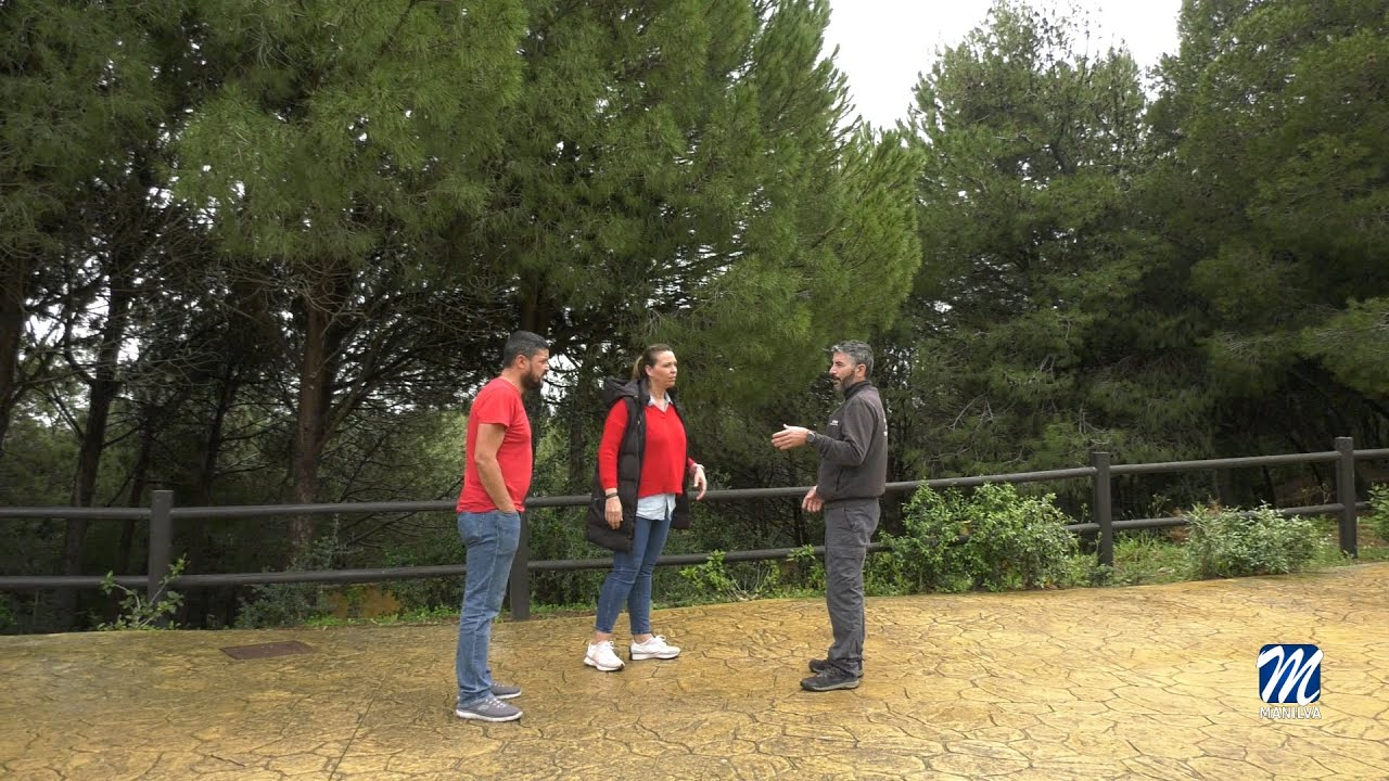 Trabajo de supervisión en el pinar del campo de fútbol ante la procesionaria