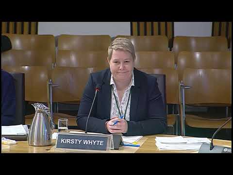 Public Audit and Post-legislative Scrutiny Committee - 15 November 2018