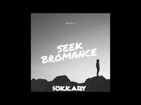 Avicii - Seek Bromacne ( Sokkary Remix )