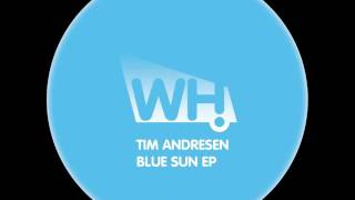 Tim Andresen - Blue Sun - What Happens