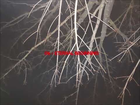 AFTER BLAST - All Saint's Day