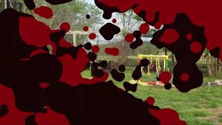 Video preview image #4 German Shepherd Dog Puppy For Sale in CHRISNEY, IN, USA