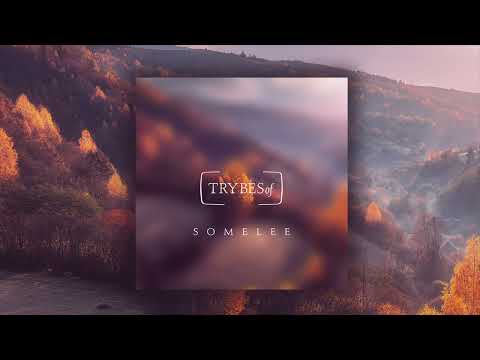 Somelee - Charisma